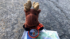 Peluche cerf